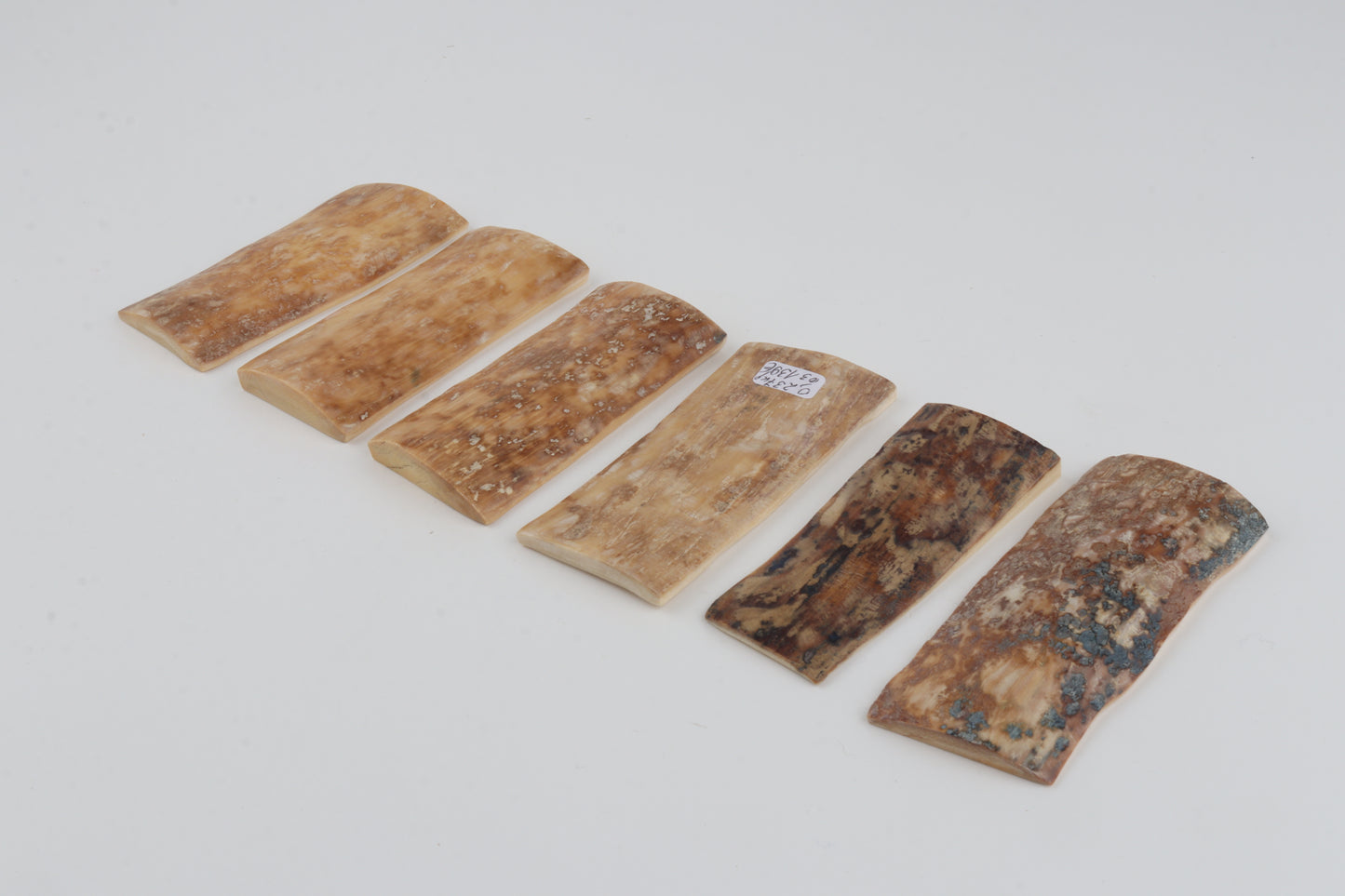 Natural mammoth bark pieces