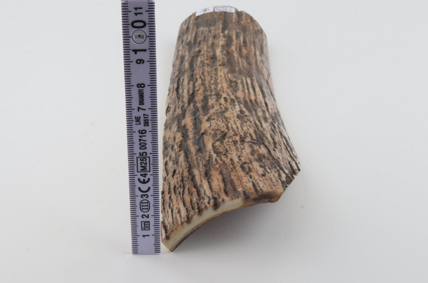 Multicoloured mammoth bark