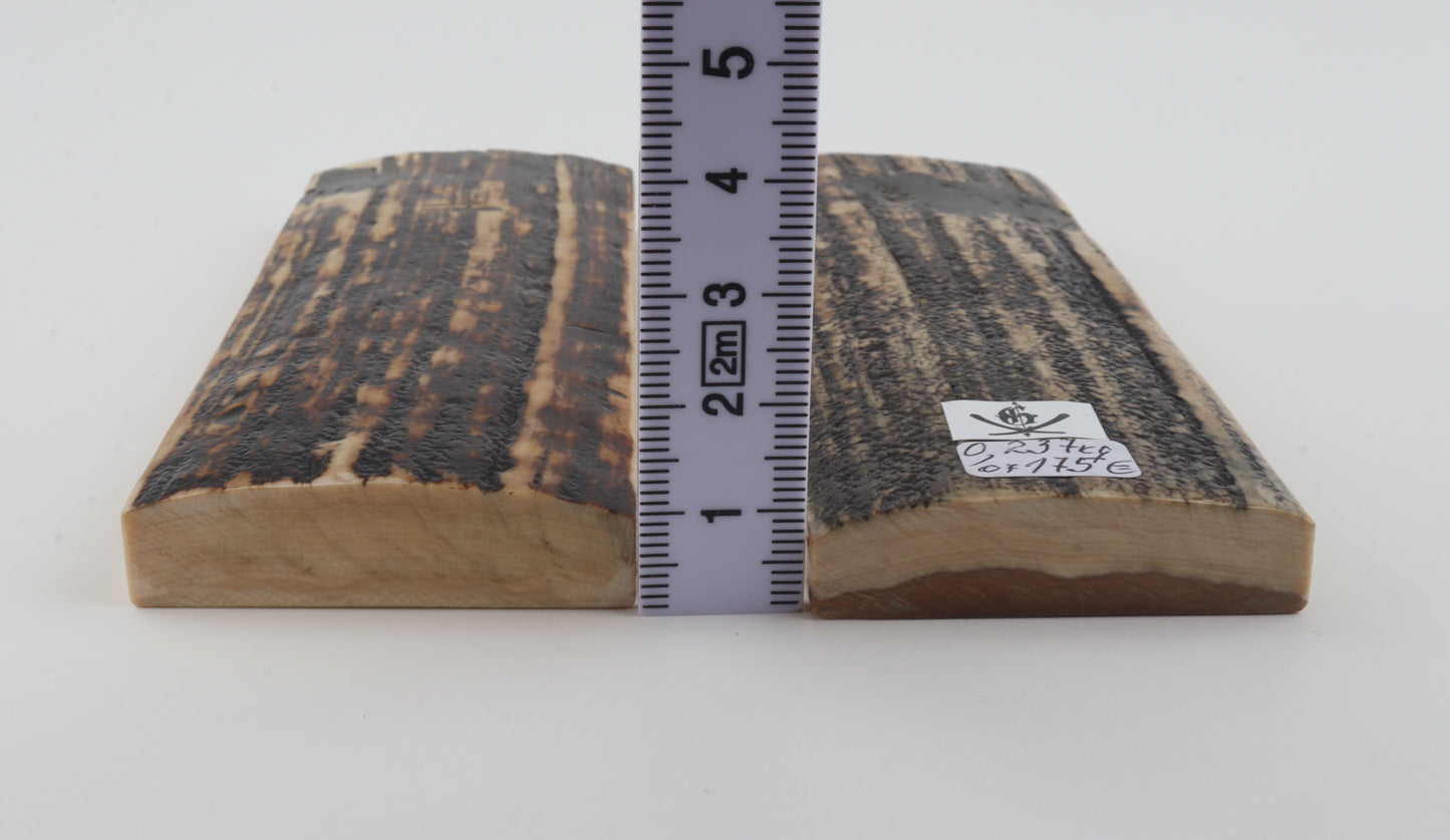 Natural mammoth bark scales