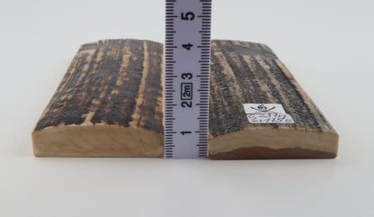 Natural mammoth bark scales