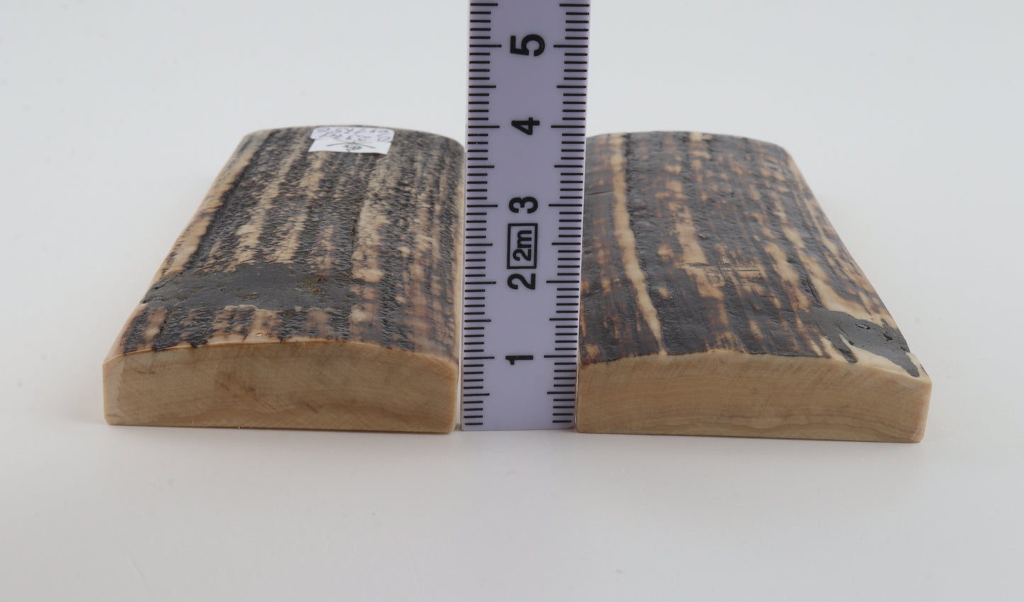 Natural mammoth bark scales