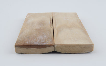 Natural mammoth bark scales