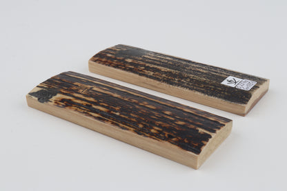 Natural mammoth bark scales
