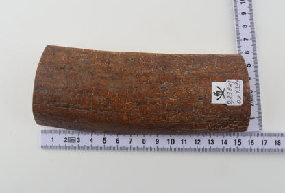Golden-brown mammoth bark