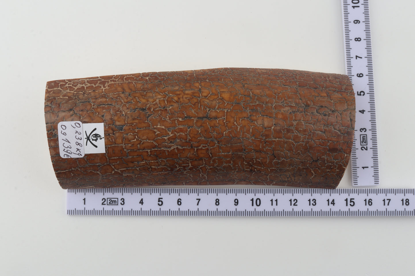 Golden-brown mammoth bark