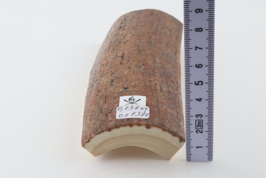 Golden-brown mammoth bark