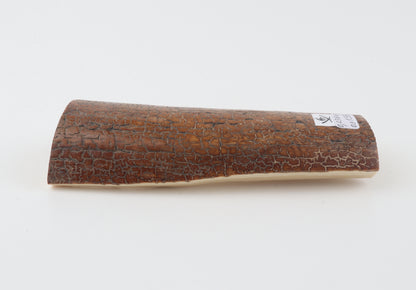 Golden-brown mammoth bark