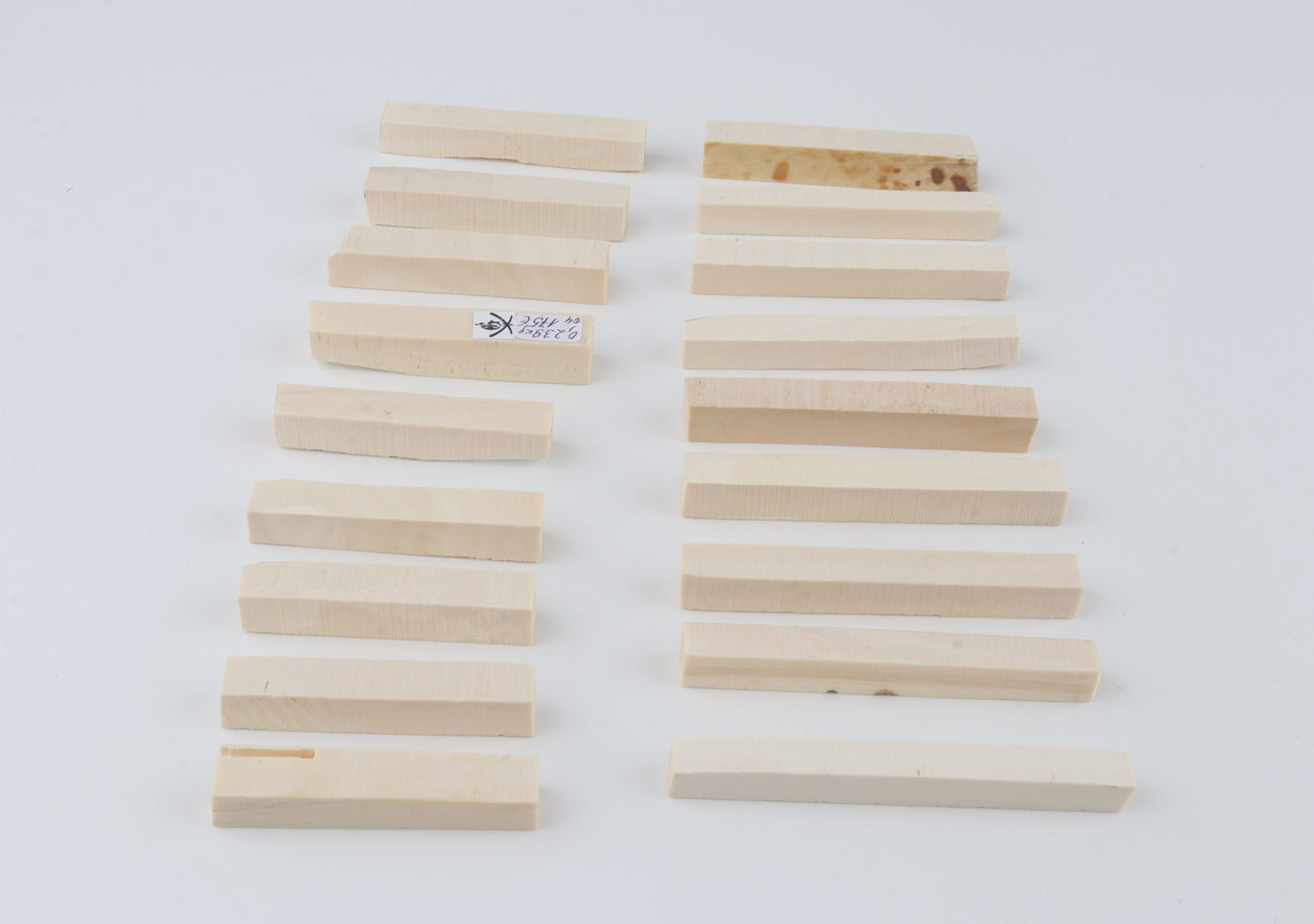 White mammoth ivory segments