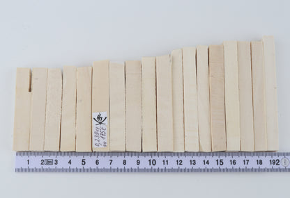 White mammoth ivory segments