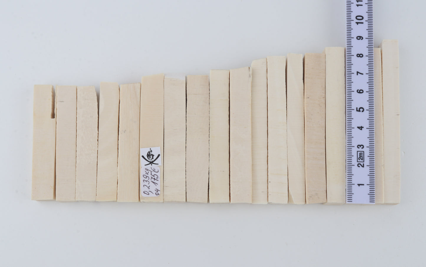 White mammoth ivory segments