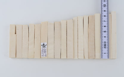 White mammoth ivory segments