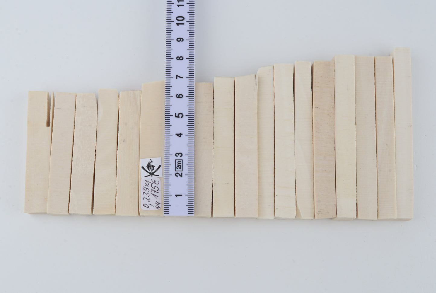 White mammoth ivory segments