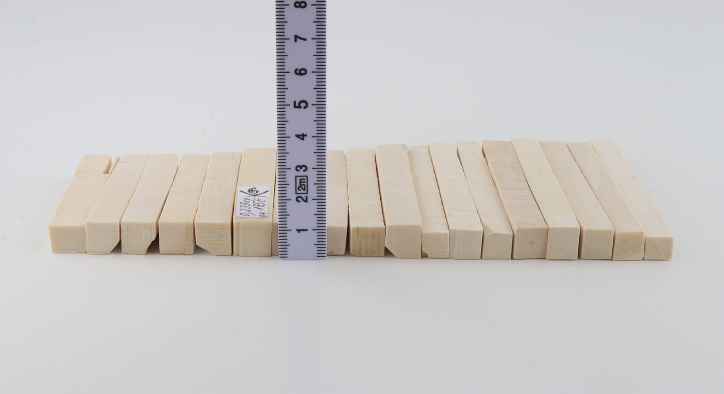 White mammoth ivory segments