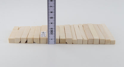 White mammoth ivory segments
