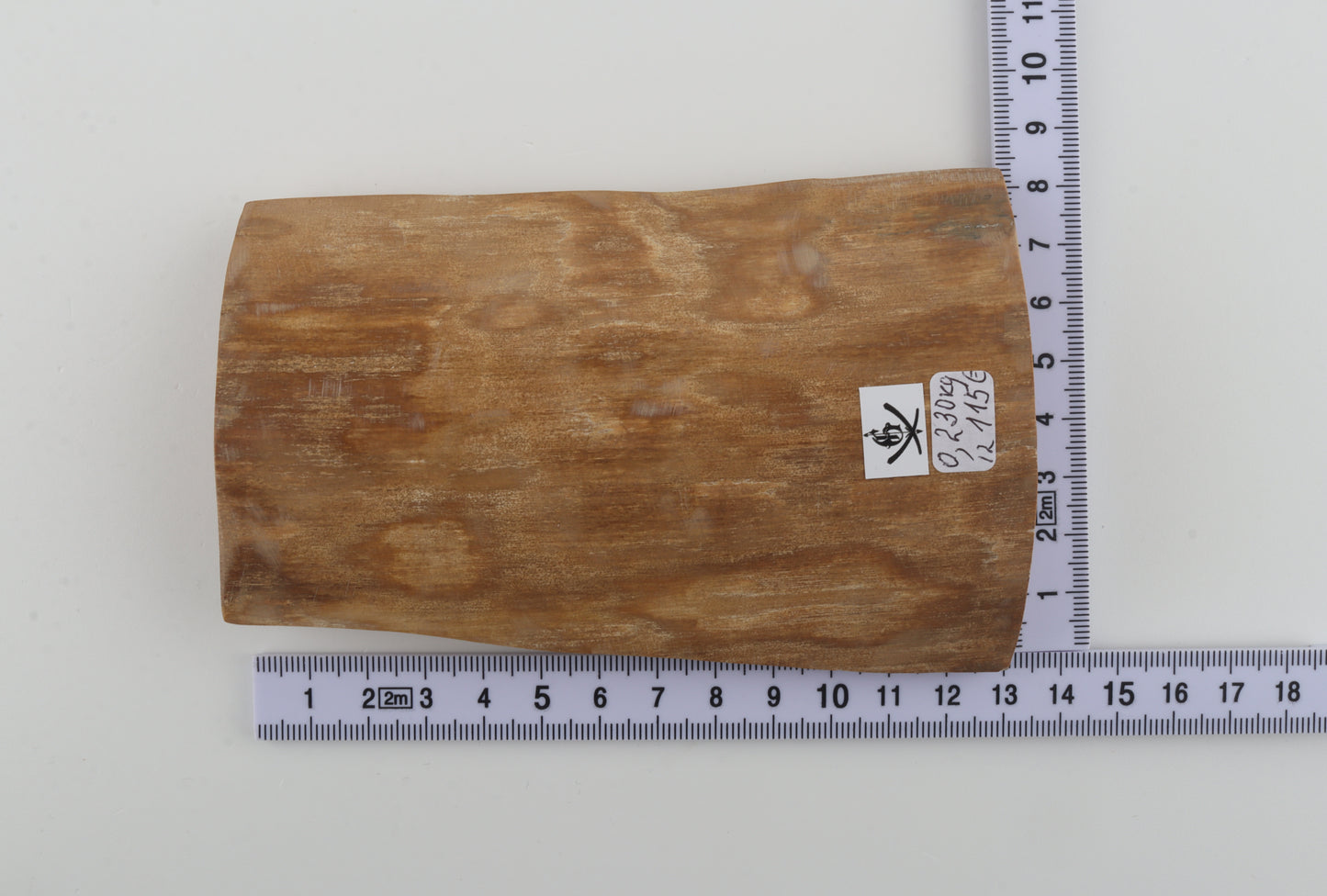 Beige woolly mammoth bark