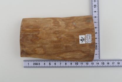 Beige woolly mammoth bark