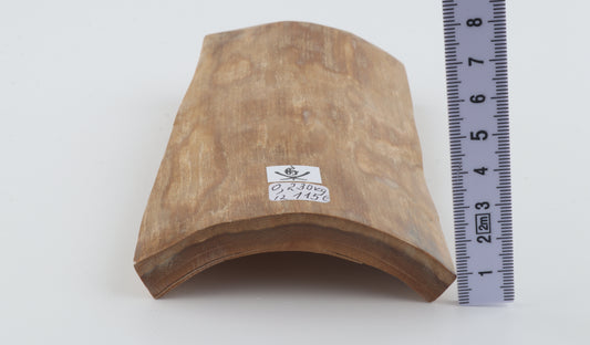 Beige woolly mammoth bark