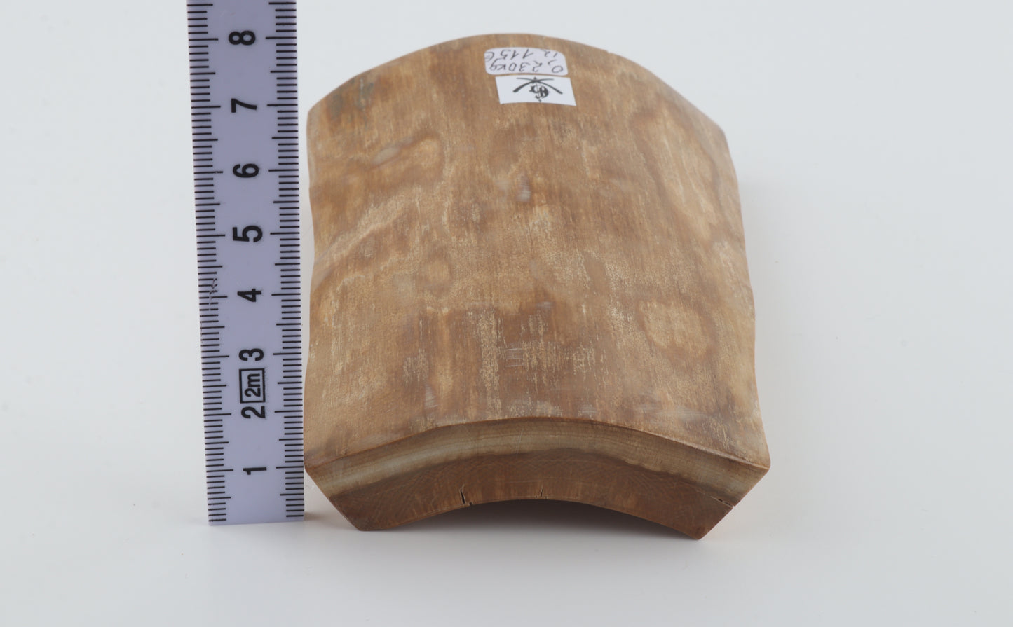 Beige woolly mammoth bark