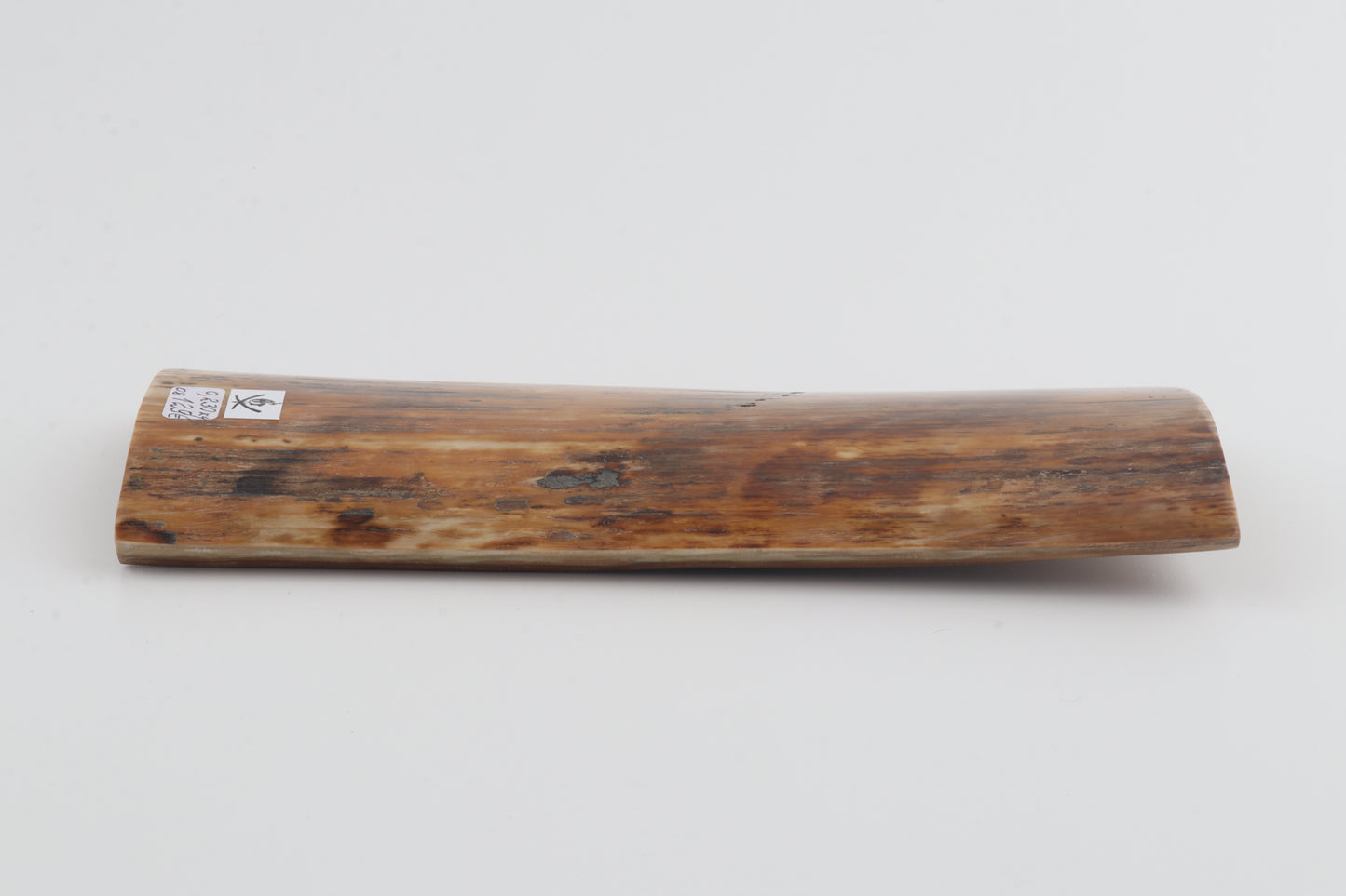 Brown-amber mammoth bark