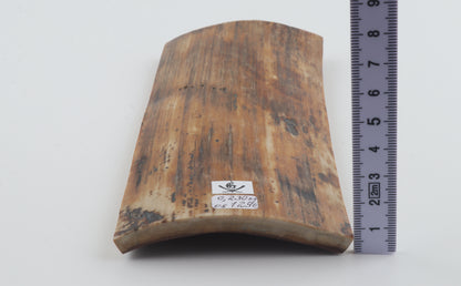 Brown-amber mammoth bark