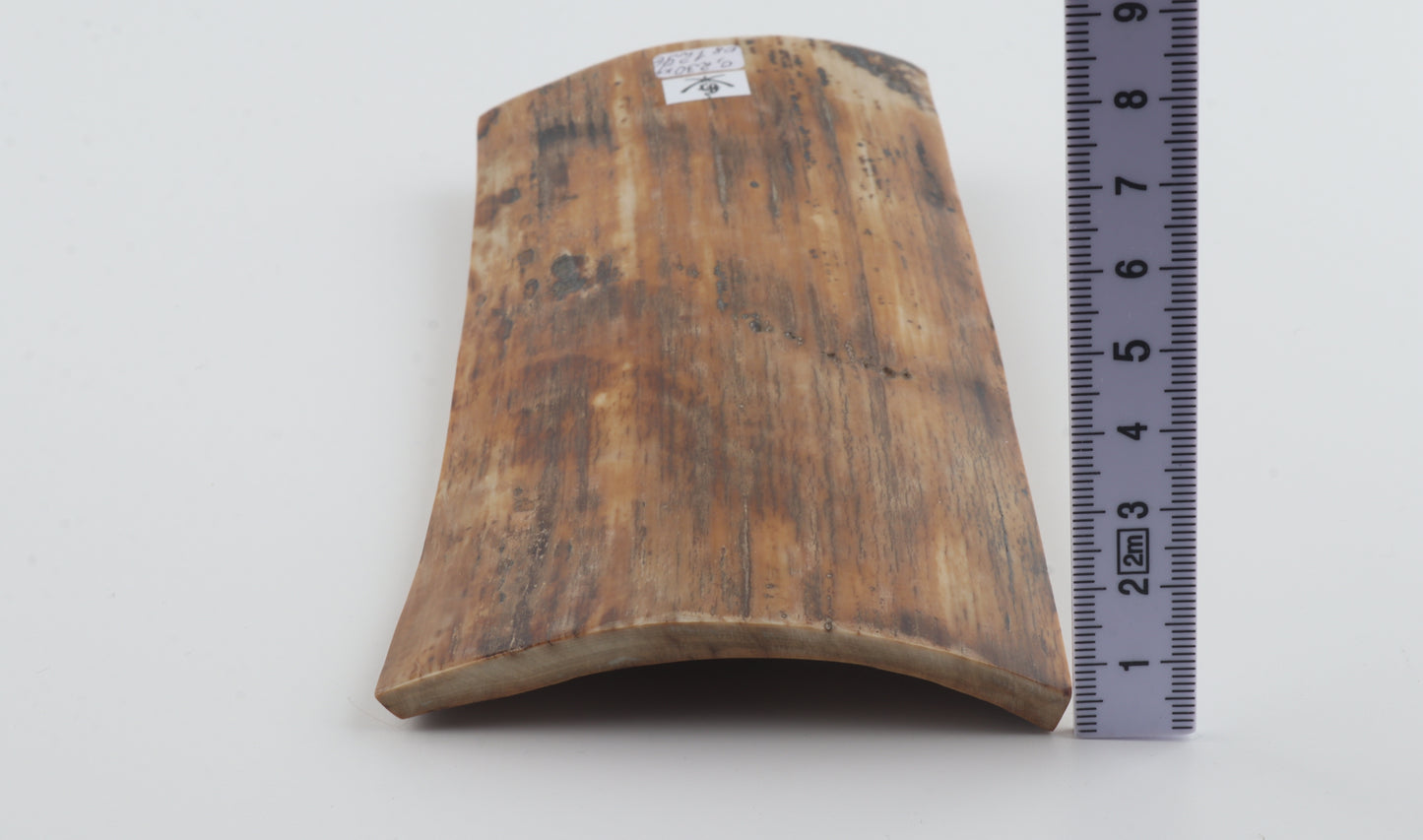 Brown-amber mammoth bark