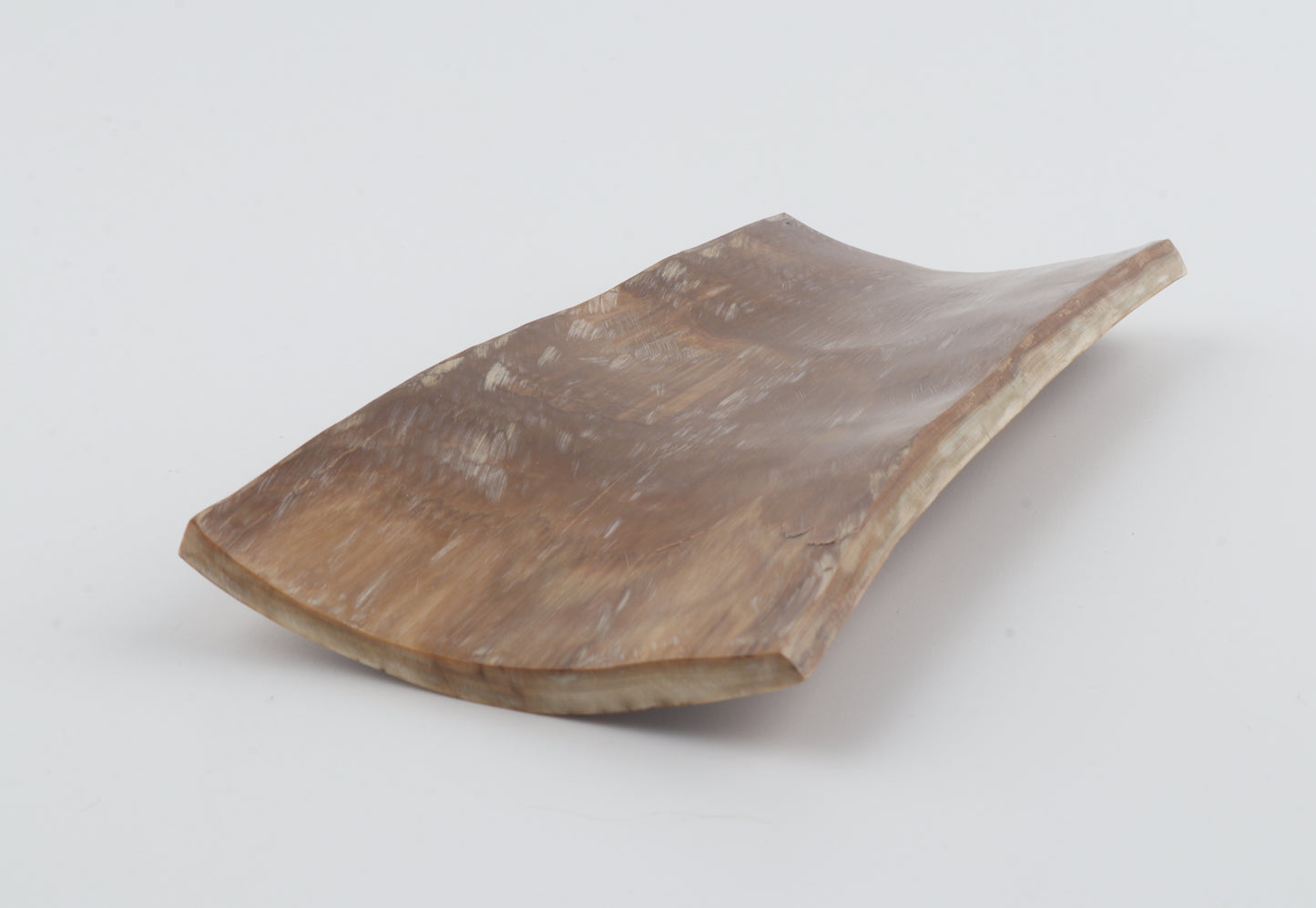 Brown-amber mammoth bark