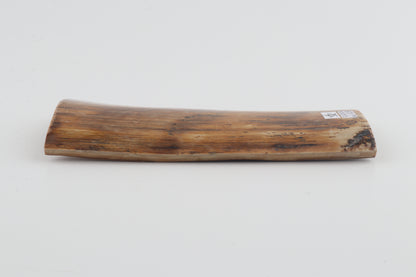 Brown-amber mammoth bark