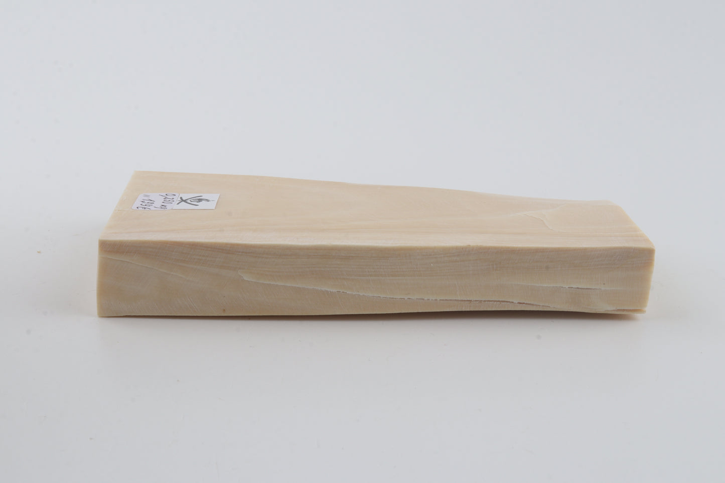 White mammoth ivory segment