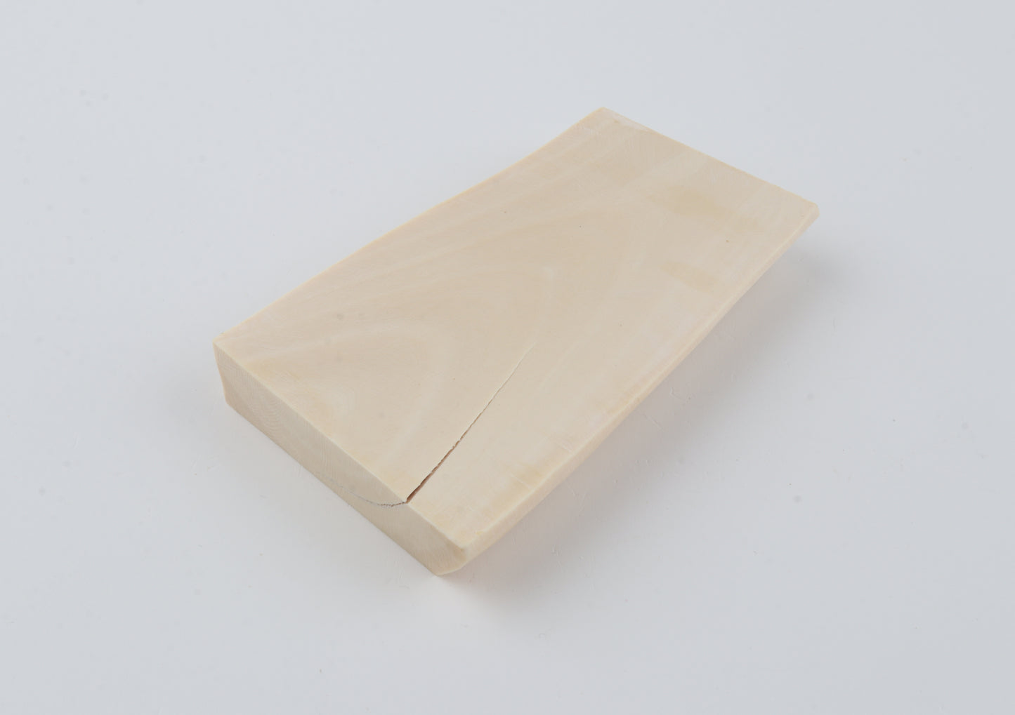 White mammoth ivory segment