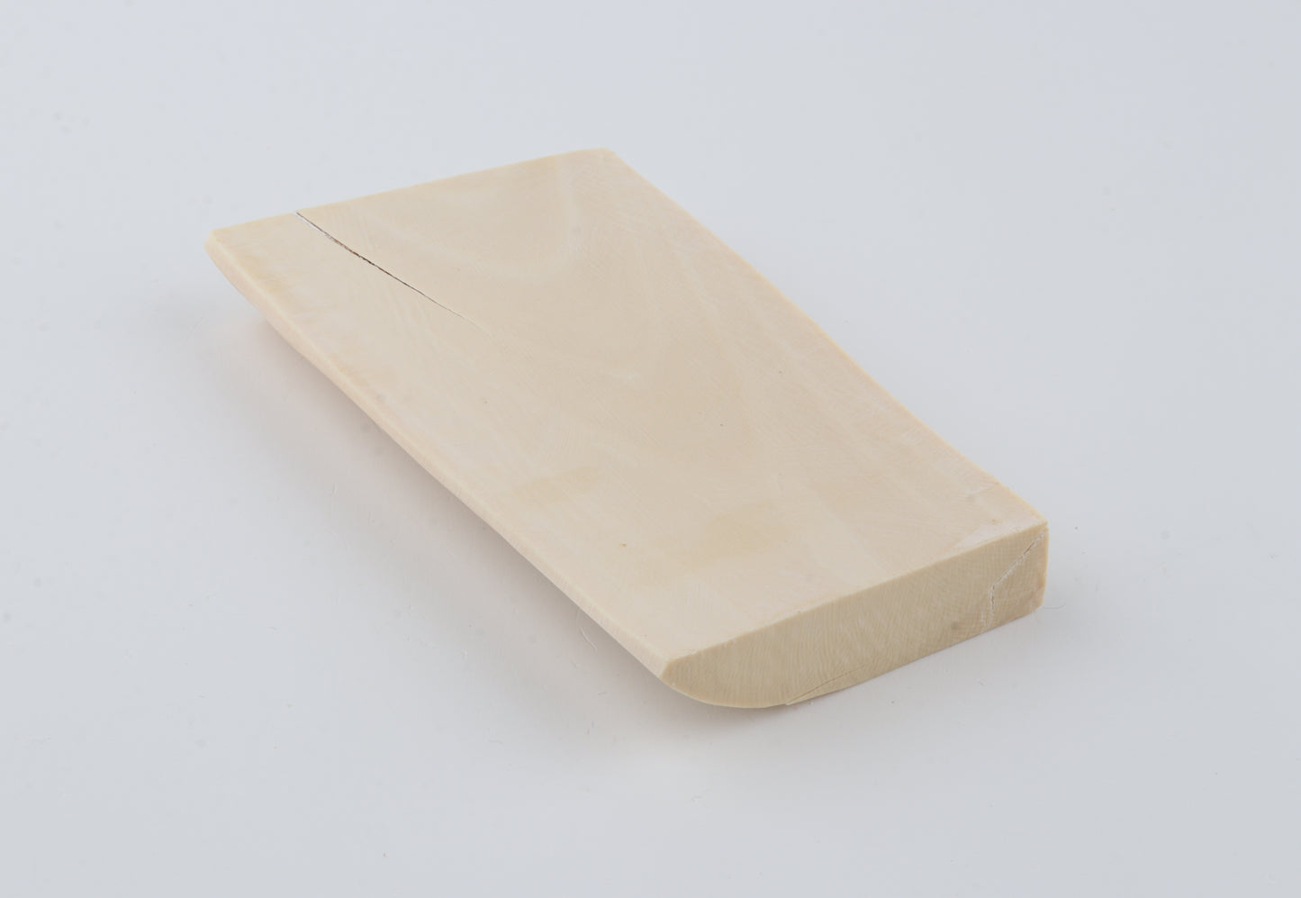 White mammoth ivory segment