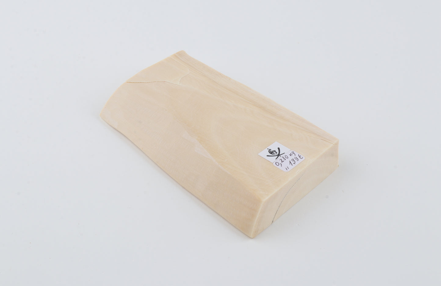 White mammoth ivory segment