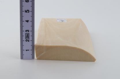 White mammoth ivory segment
