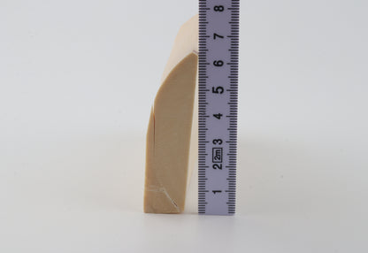 White mammoth ivory segment