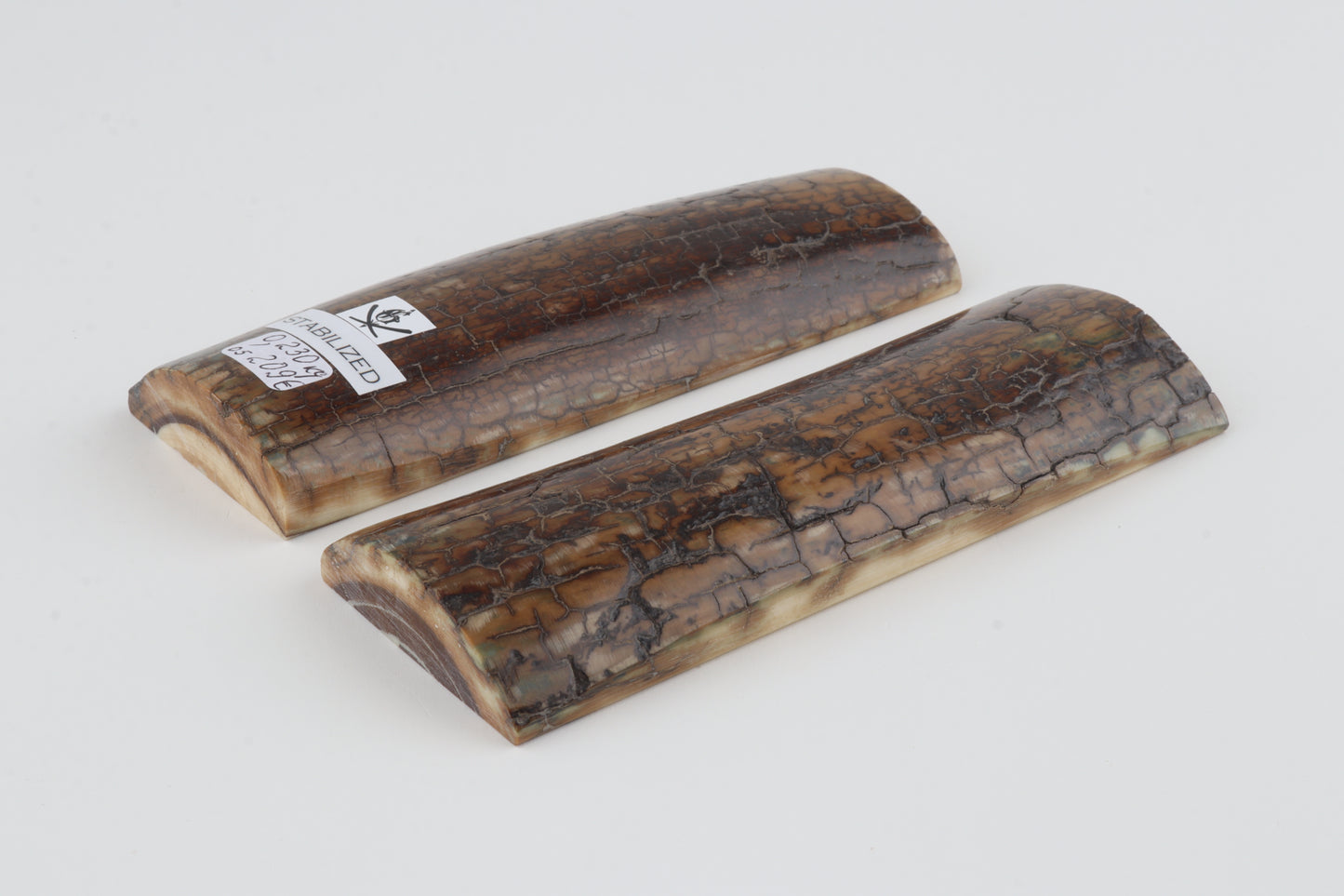 Stabilized mammoth bark scales