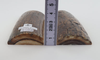 Stabilized mammoth bark scales