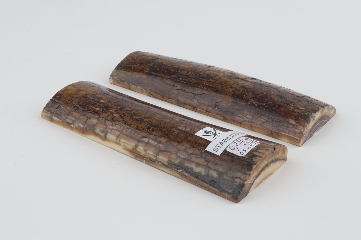 Stabilized mammoth bark scales