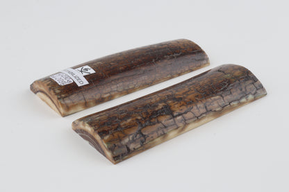 Stabilized mammoth bark scales