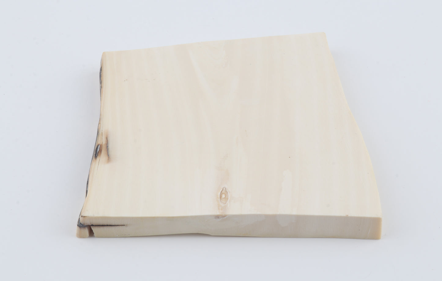 White mammoth ivory segment