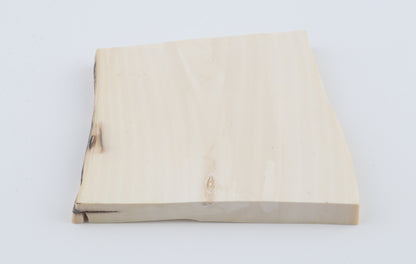 White mammoth ivory segment