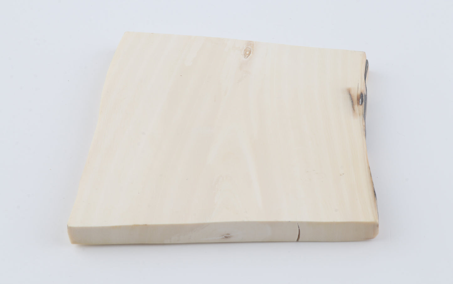 White mammoth ivory segment