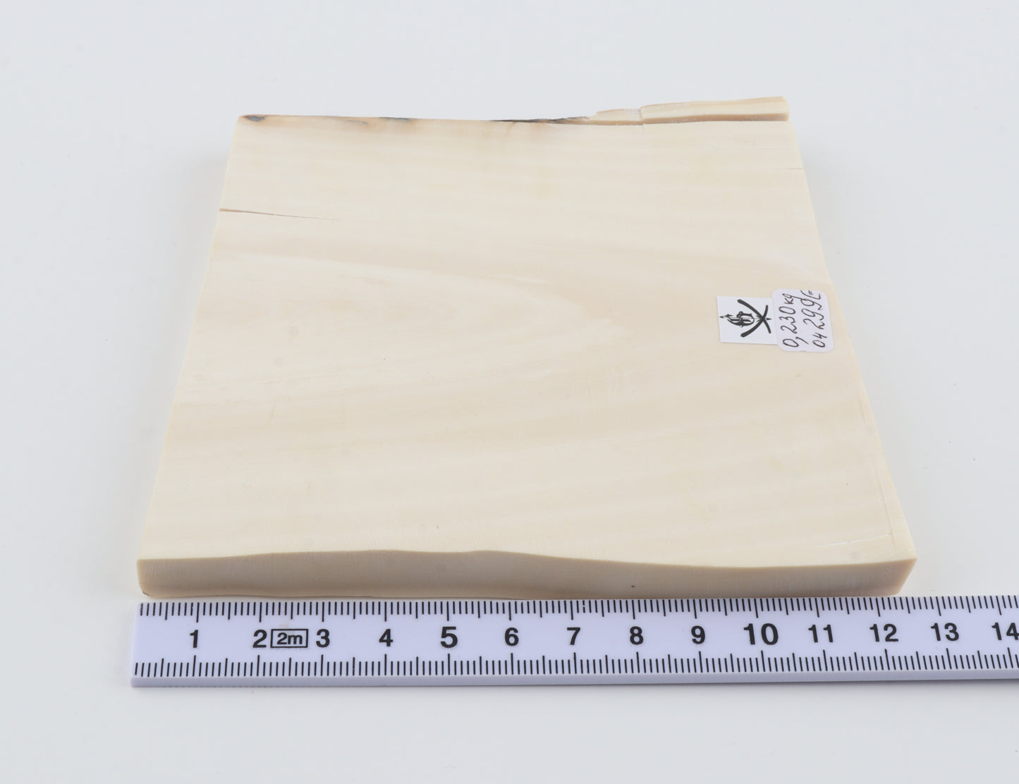 White mammoth ivory segment