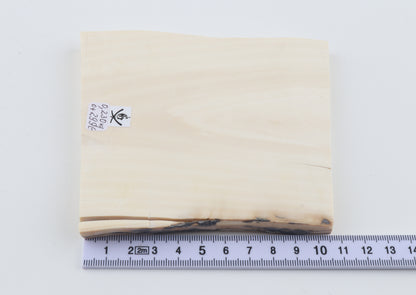 White mammoth ivory segment