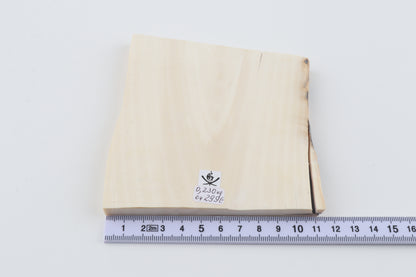 White mammoth ivory segment