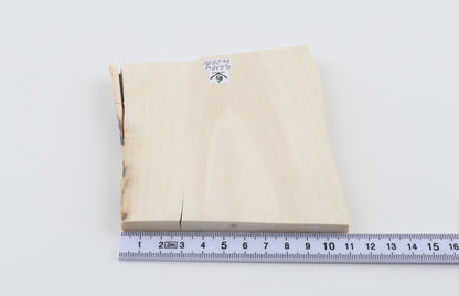 White mammoth ivory segment