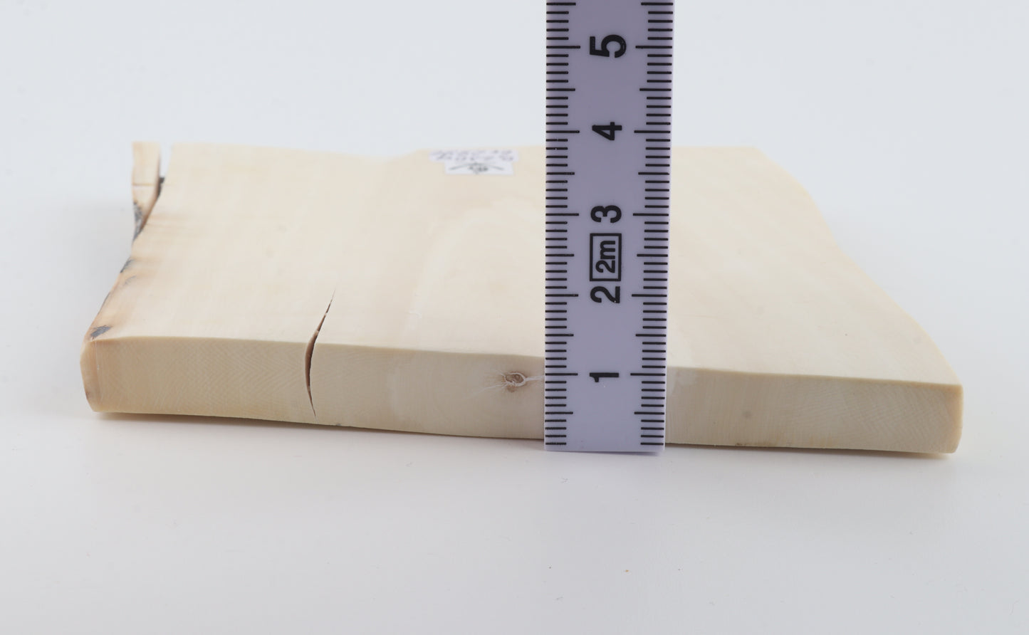 White mammoth ivory segment
