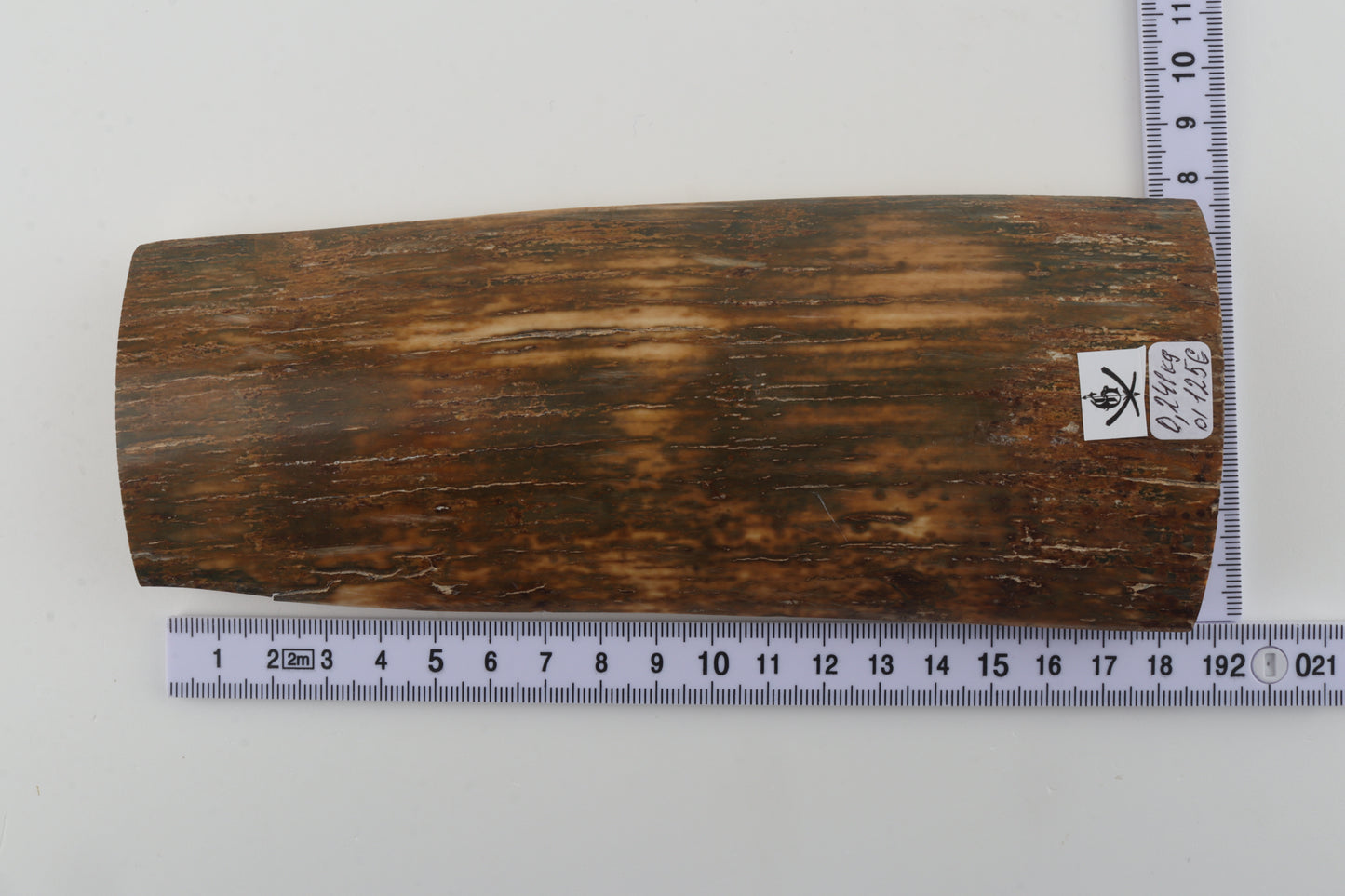 Natural mammoth bark