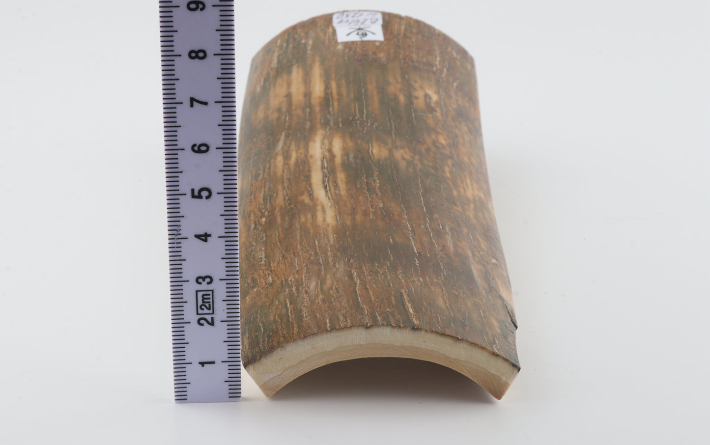 Natural mammoth bark