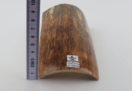 Mustard-green mammoth bark