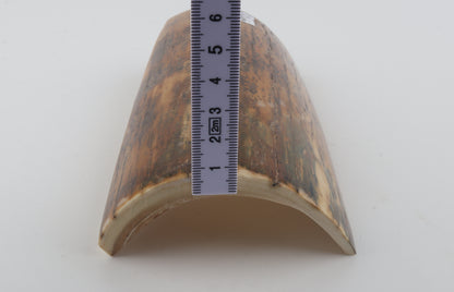 Mustard-green mammoth bark