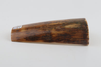 Mustard-green mammoth bark